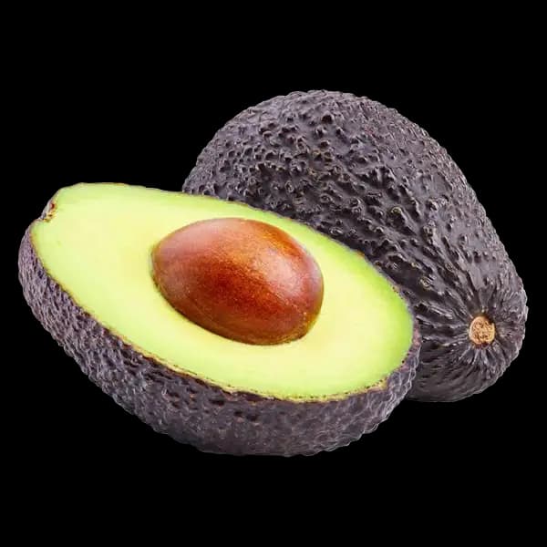 Avocat
