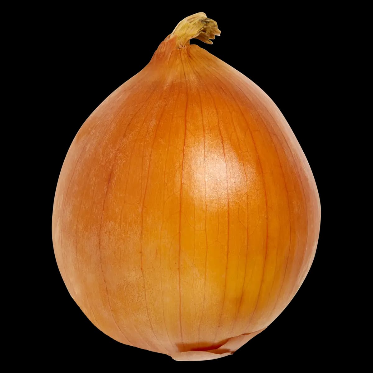 Oignon jaune