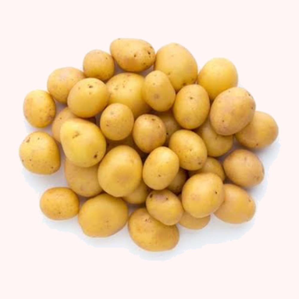 Pomme de terre Petit